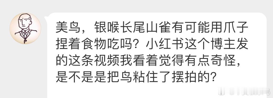 看着并不是摆拍这只北长尾山雀尾巴搭在后面保持平衡，然后一只爪爪挂着，另外一只握着