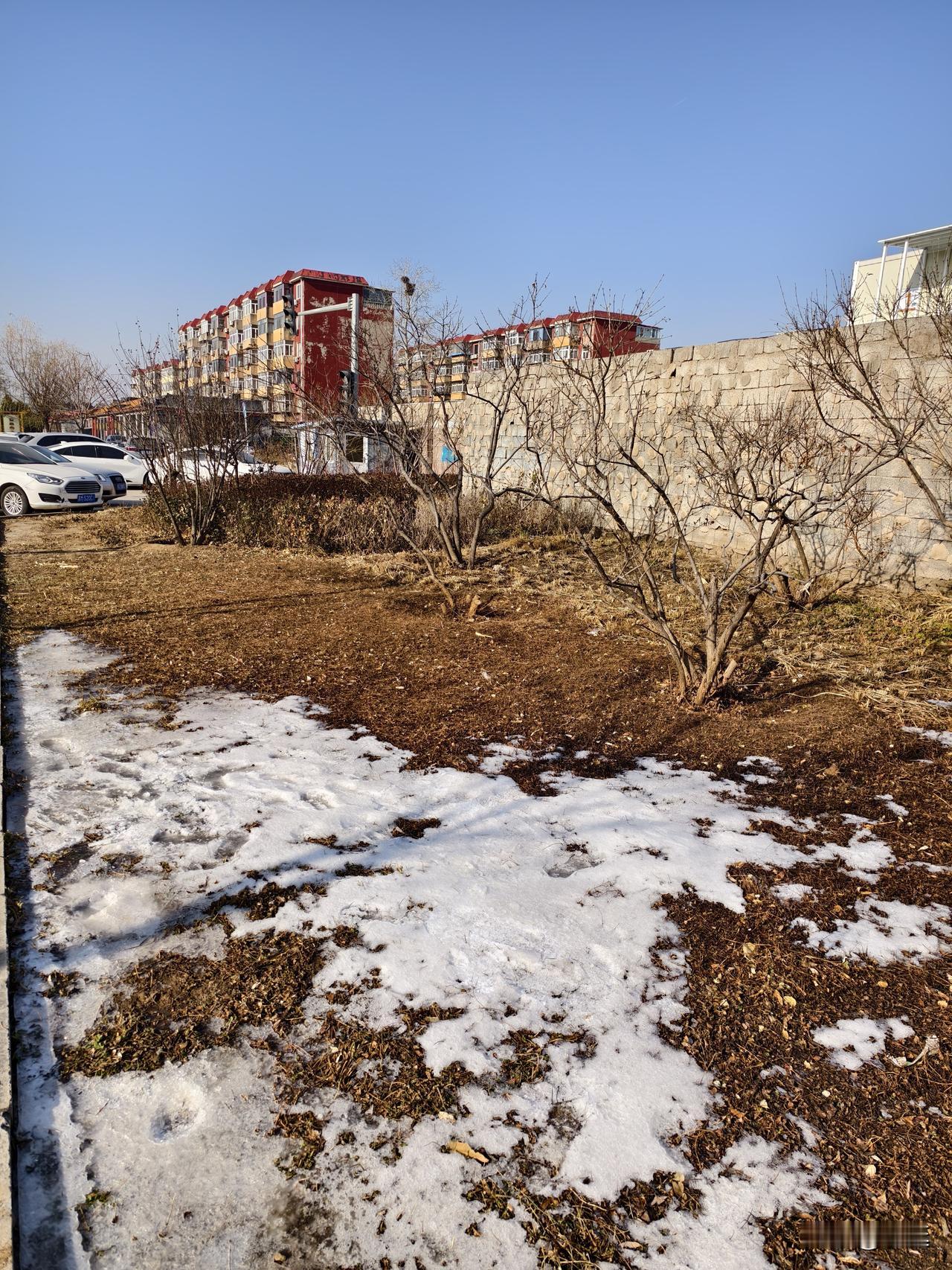 一张图证明冬天来了今日随手拍