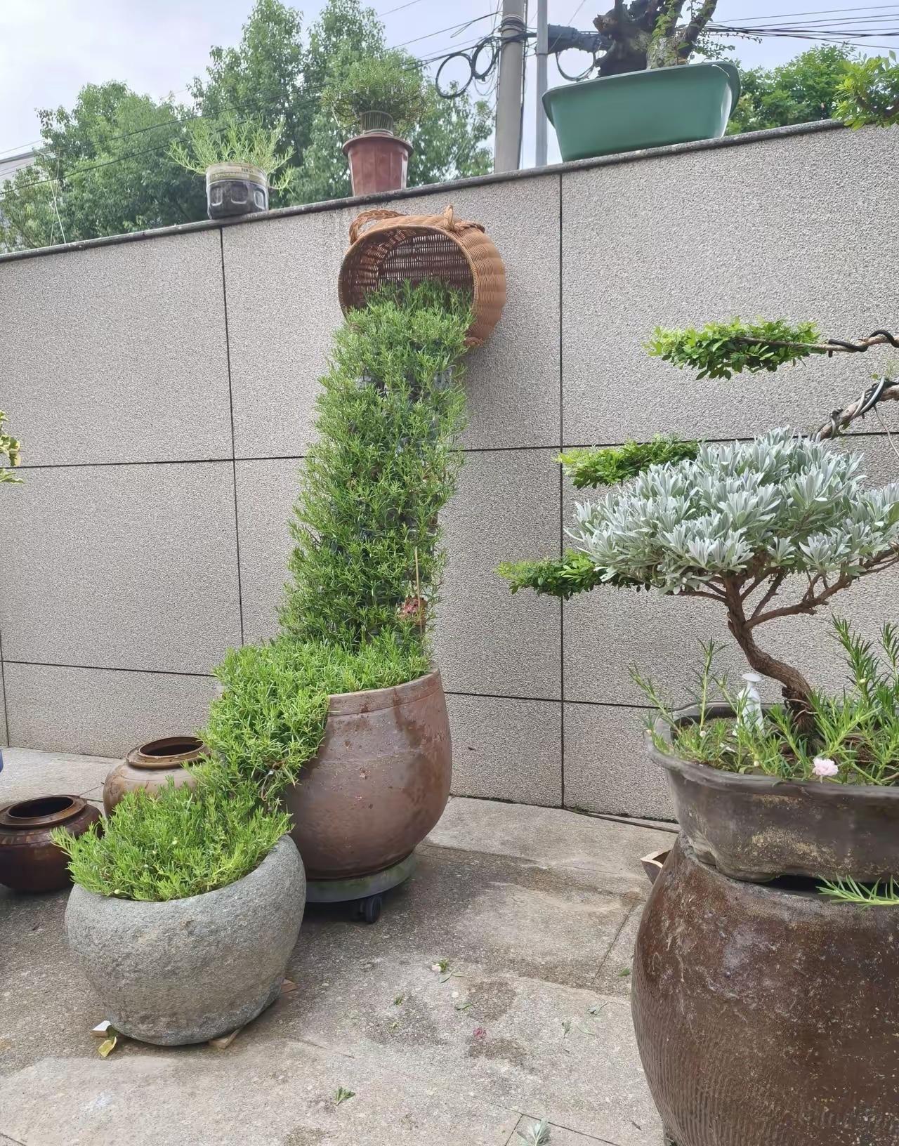 [玫瑰]人生一世几春秋，亲人良友前世修，相遇相伴是缘分，好好珍惜不能丢。见与不见