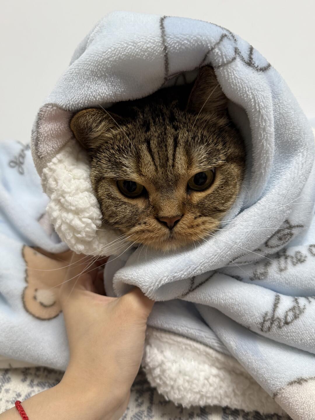 小宝宝小呱