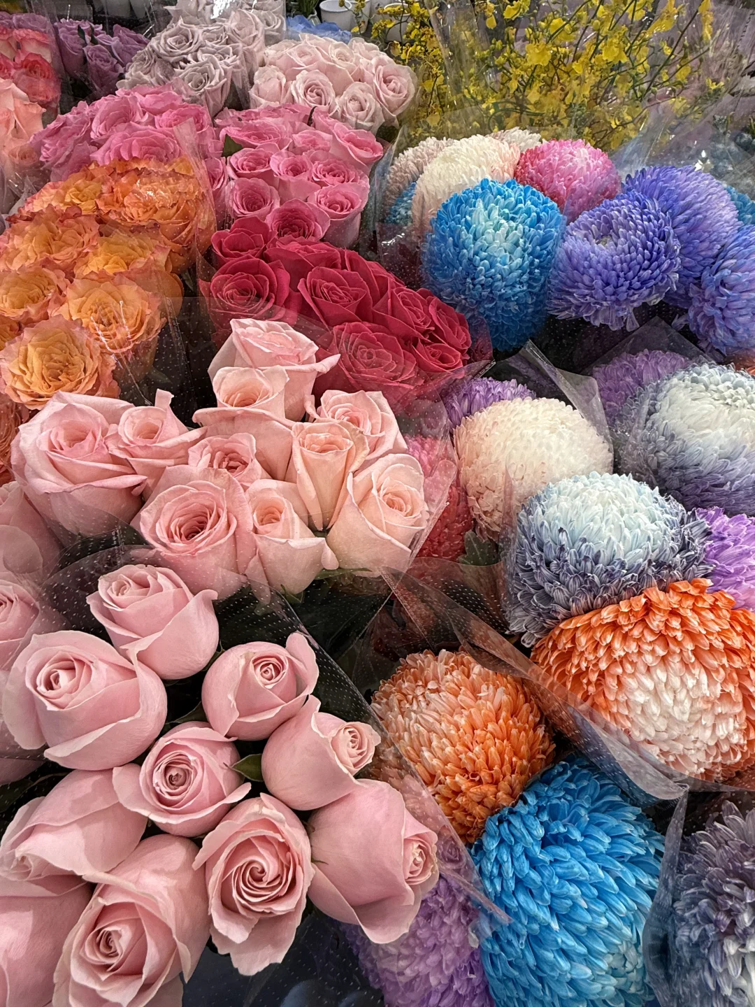 大大辉瑞拿下！！