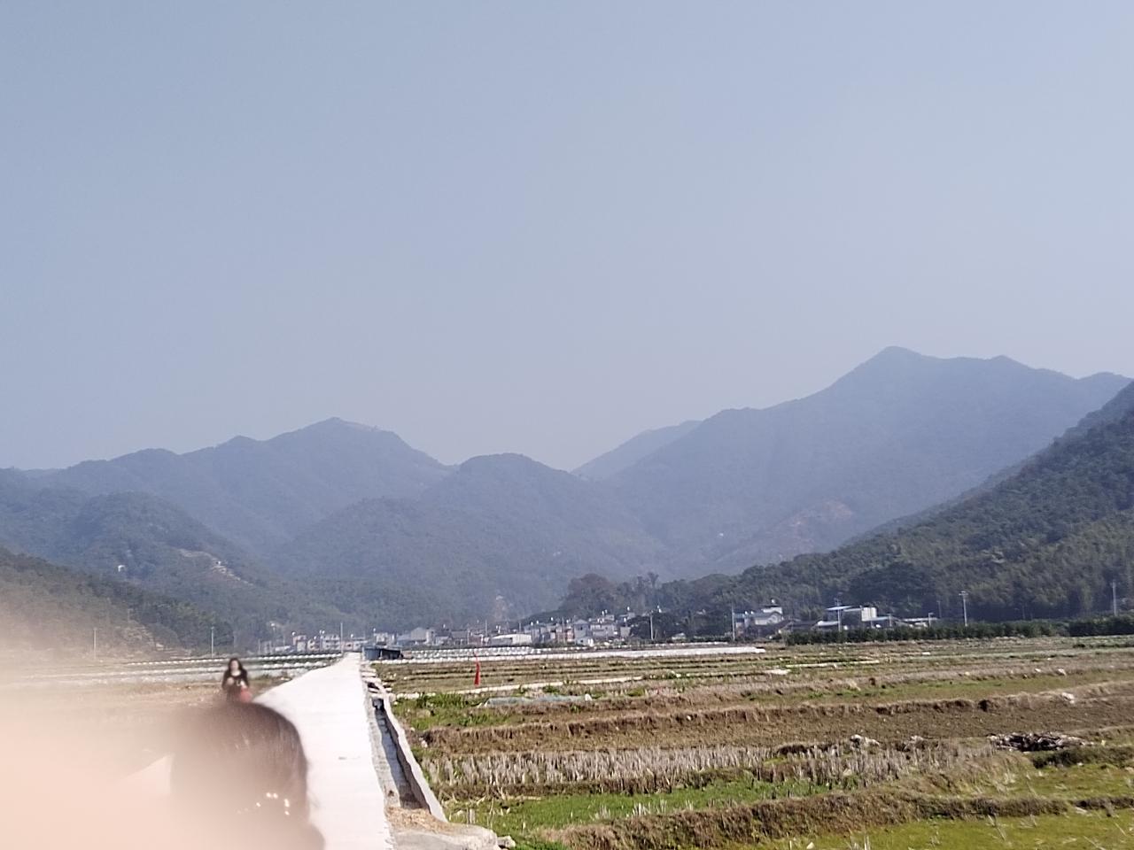 跟大家说个真事儿。上回加班到晚上九点，心里堵得慌，路过菜市场，一个大爷正收摊，剩