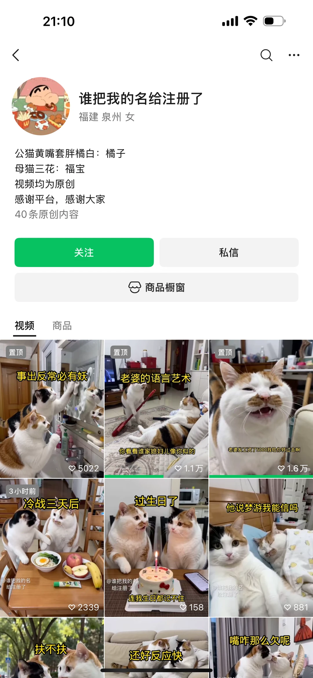 用我的猫至少名字写对吧
