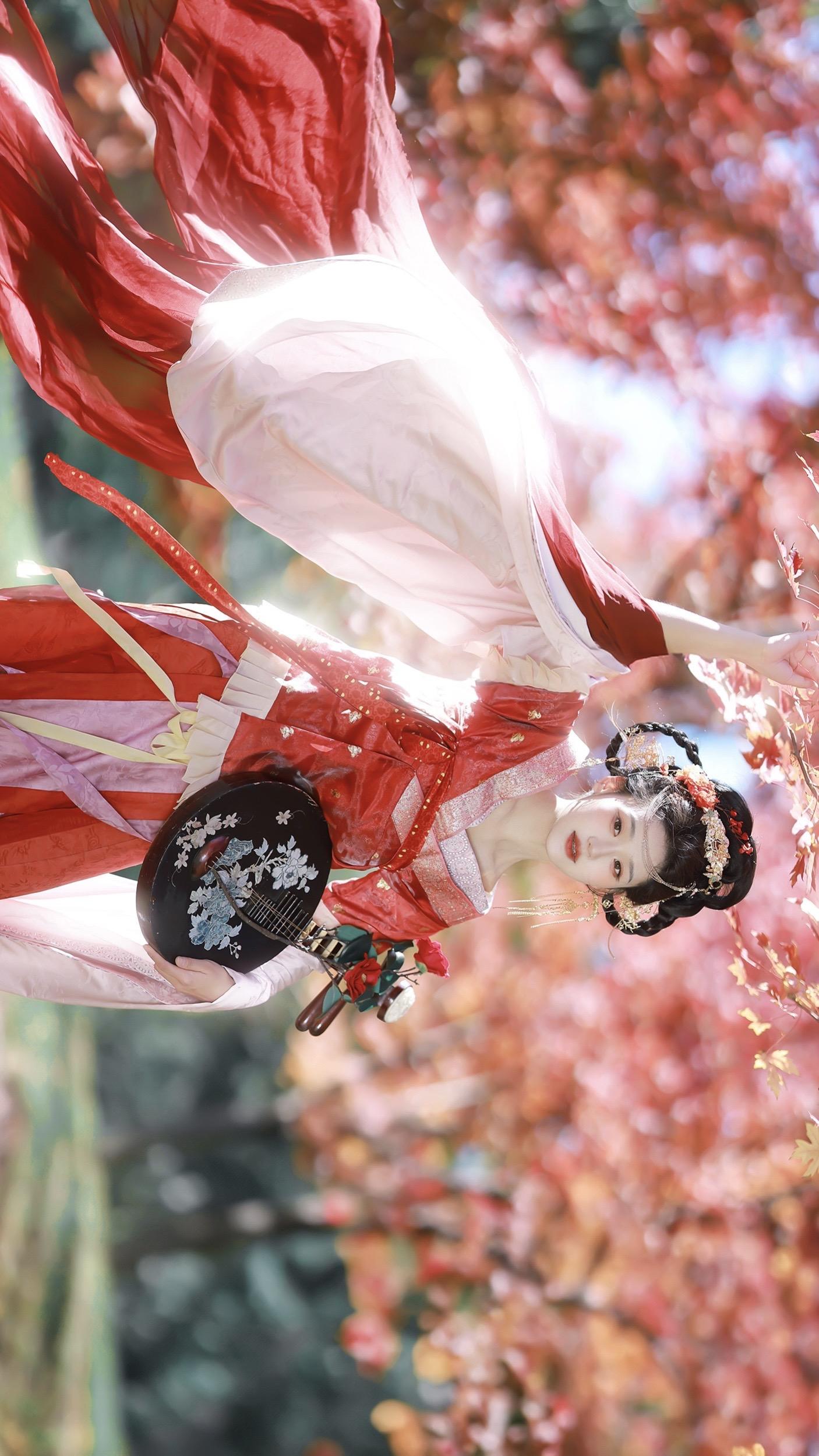 热烈的红枫🍁。美丽枫叶！