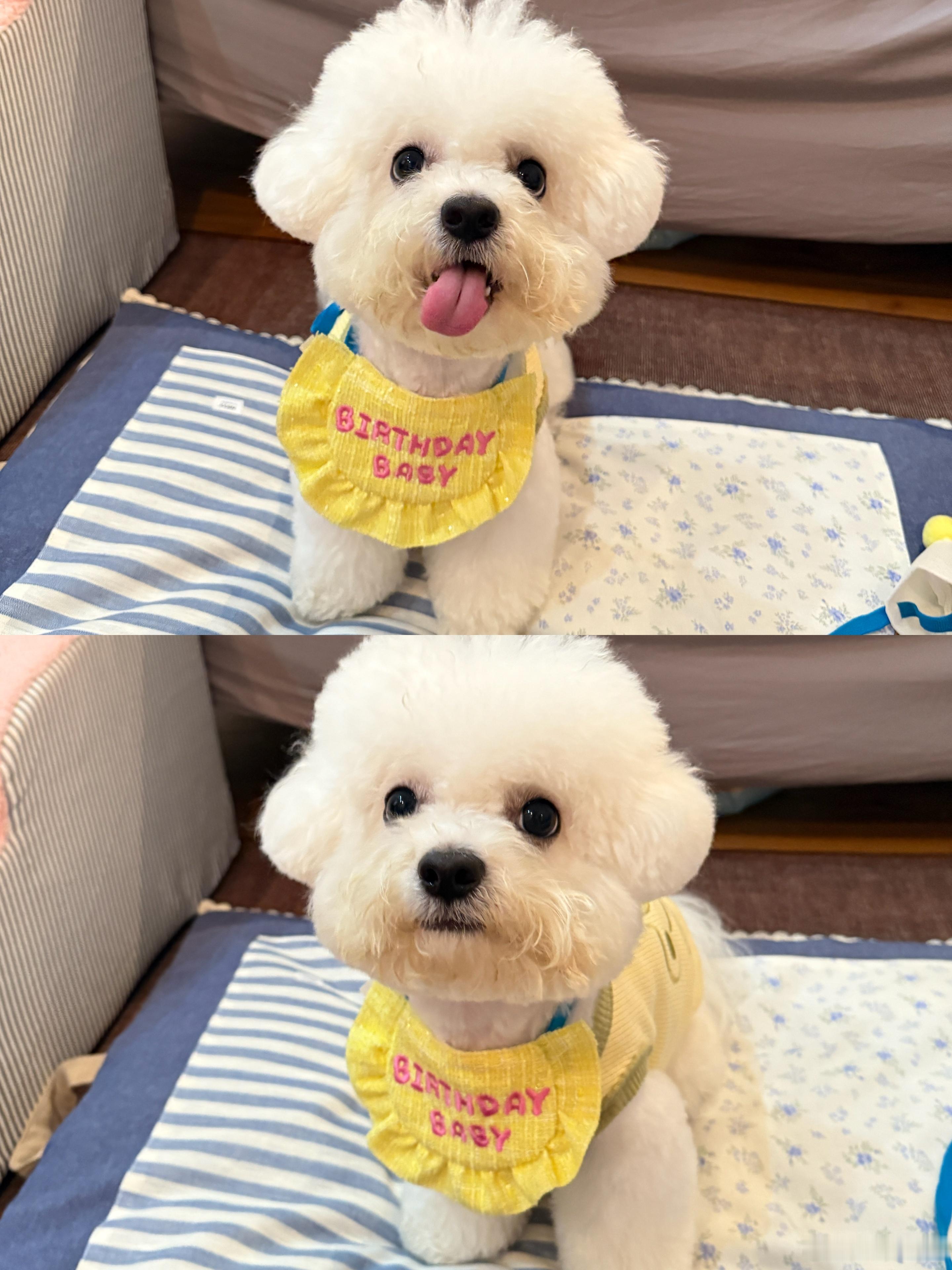 乖宝宝lucky一岁啦 !!!!!!以后每个生日妈妈都会好好给你过的[哇][哇]