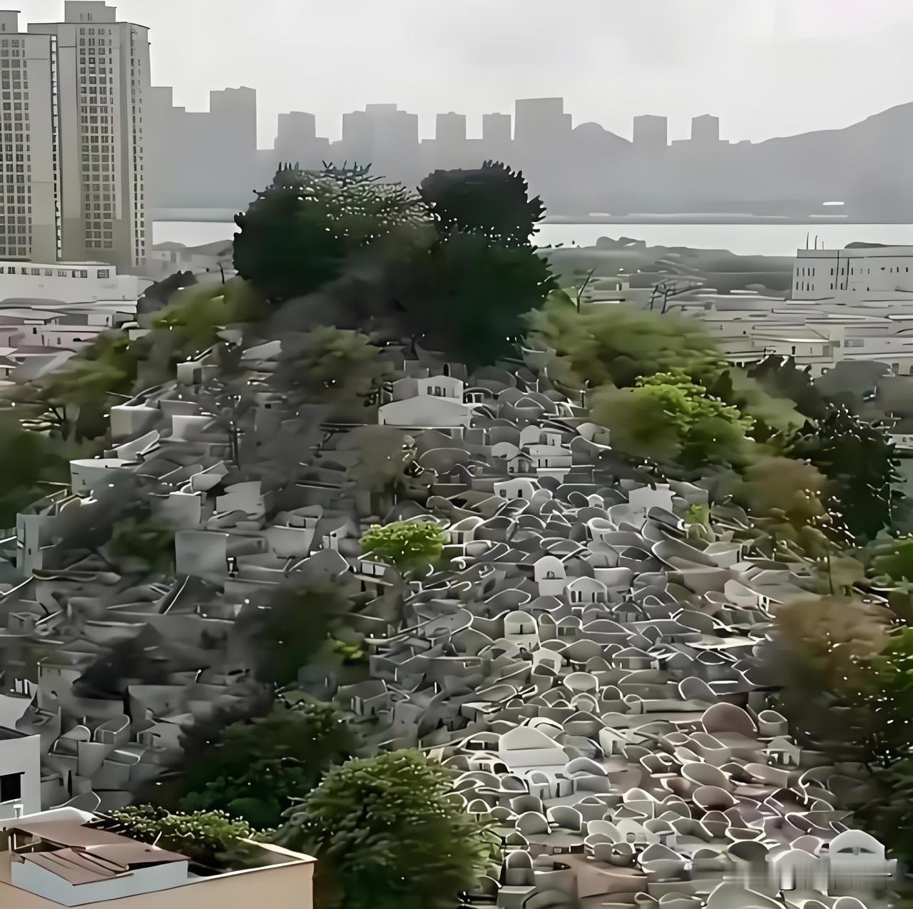 为啥国家不推行土葬，看完这张图瞬间懂了
 
密密麻麻的墓地在城市近郊，和高楼隔江