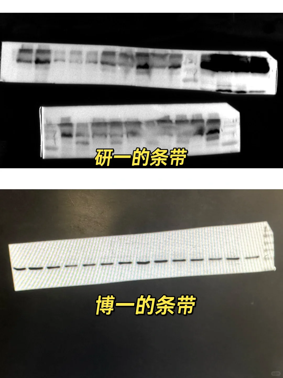 分享下最近的部分WB结果👾