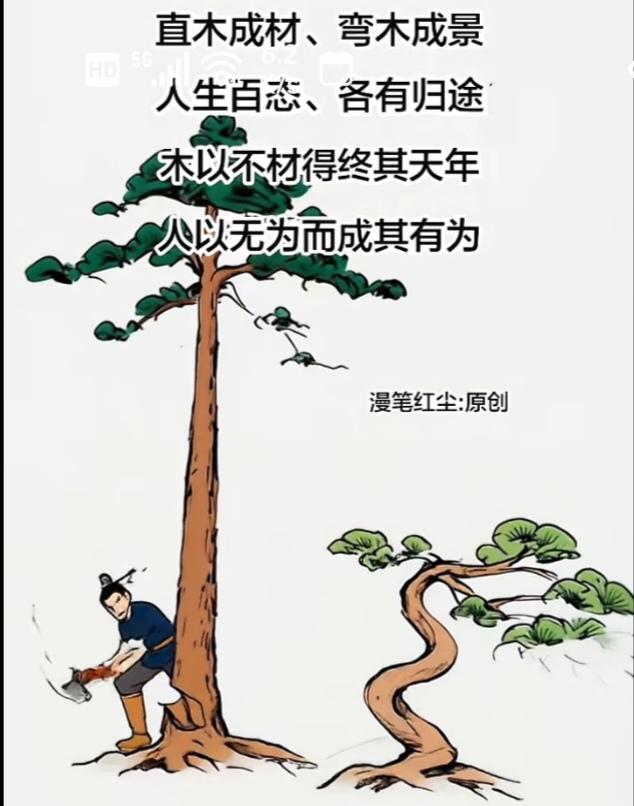 〔欣赏图片〕
图中画面真有趣；
两棵树来不一般；
一个笔直苍天树；
另个扭曲不成