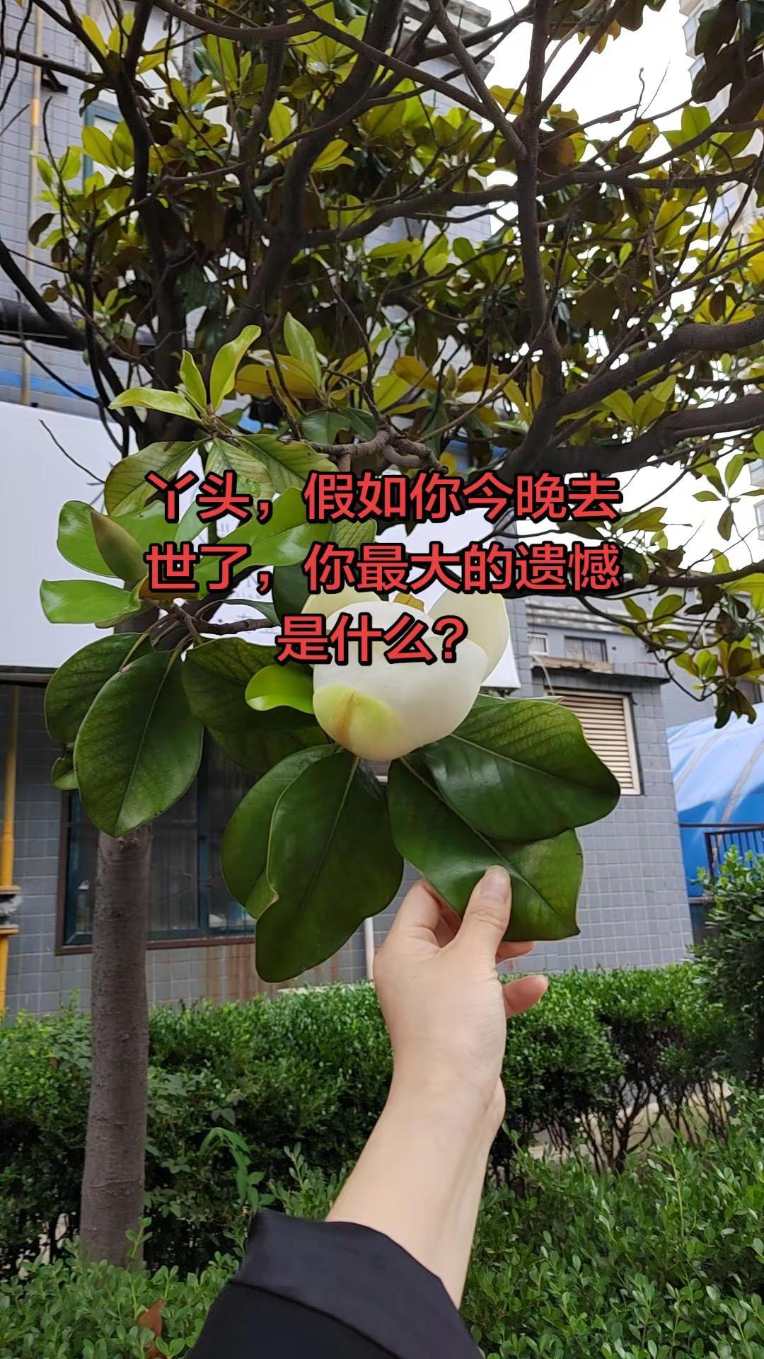 你会有遗憾吗？