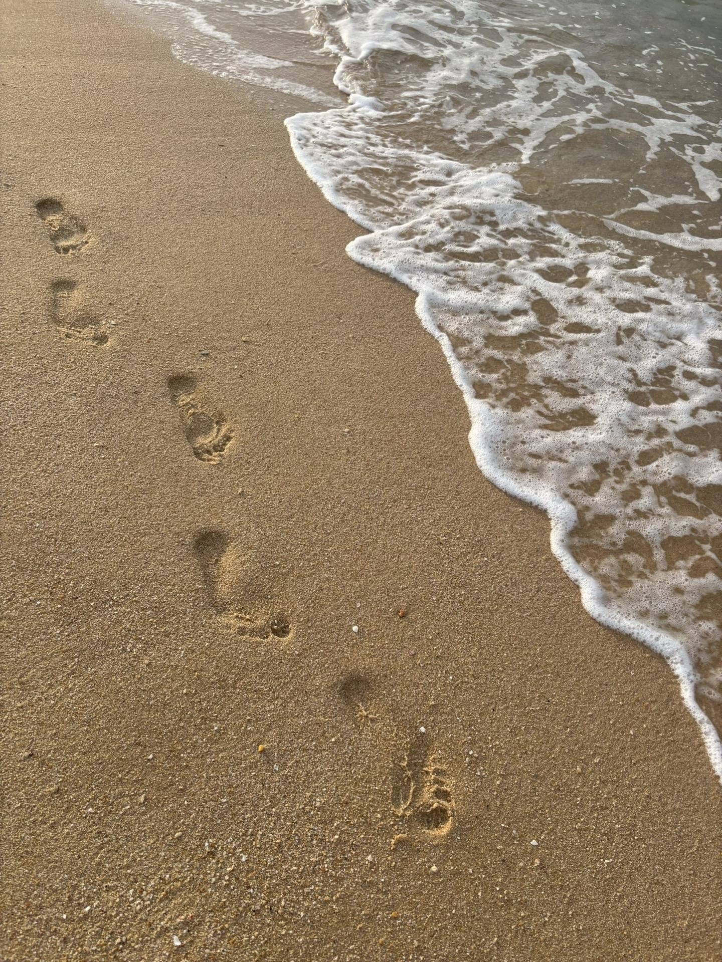 这个刷到好多遍。阿公说：我们海南人，骨头里渗着海风的烈，血脉里淌着椰林...
