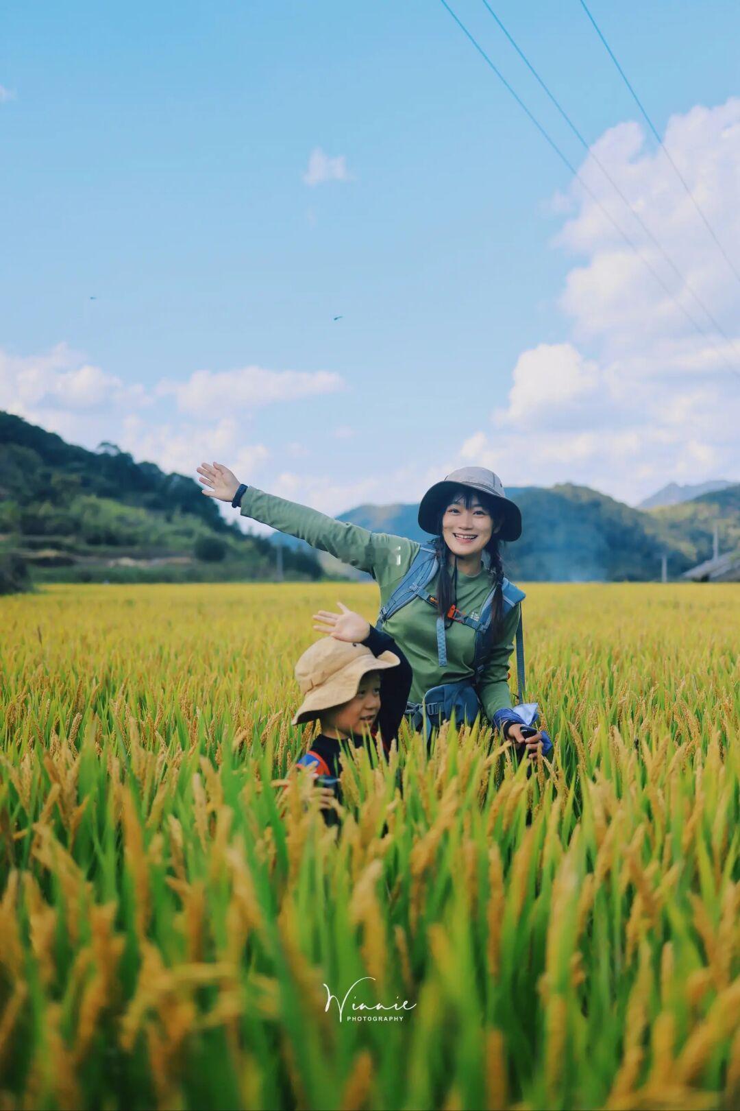 亲子徒步｜稻香阵阵，画龙村硖石岭古道环线