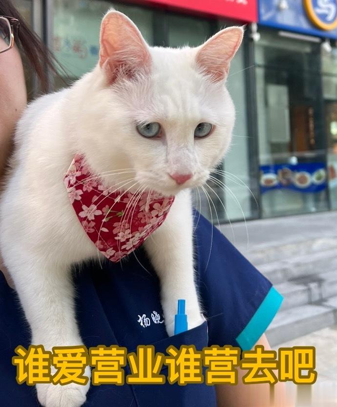 #鱿仔# 新表情包 ​​​