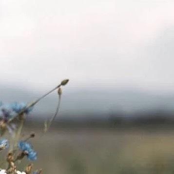阳光信用  ❤阳光信用💜 【hu动指路 不吞必hui 不带🔗 勿带hui字，