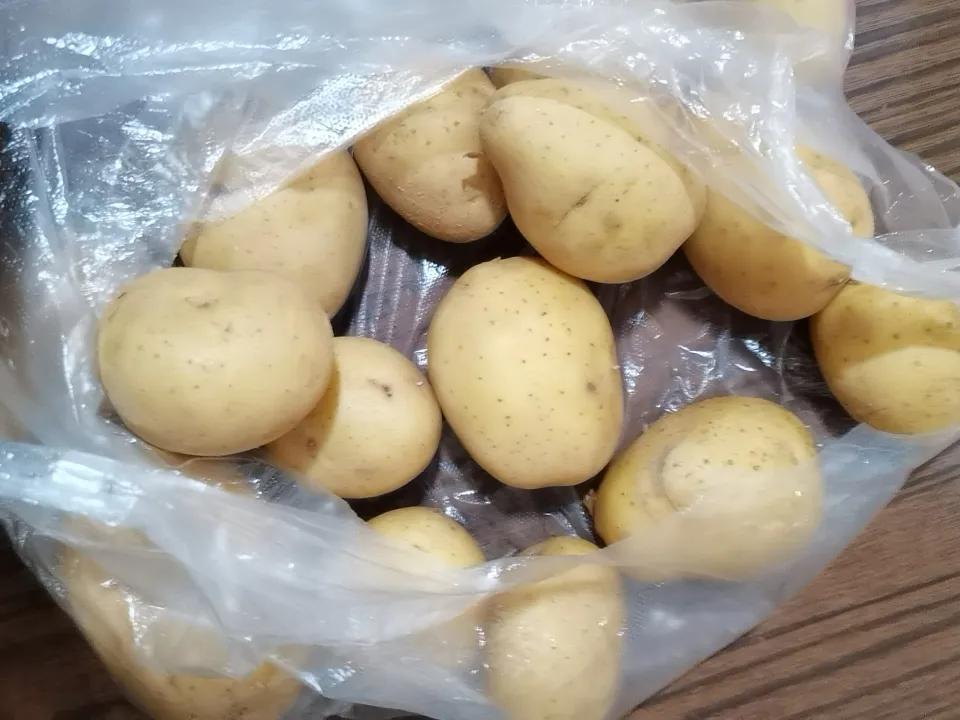 土豆用你们那里的方言叫什么土豆在我家乡叫的人不多，大家叫土豆为洋芋。每年种洋芋，