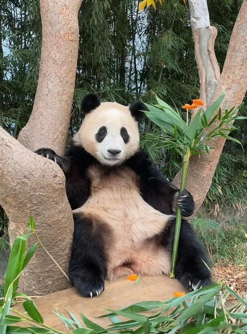每天早起打卡早～ 
