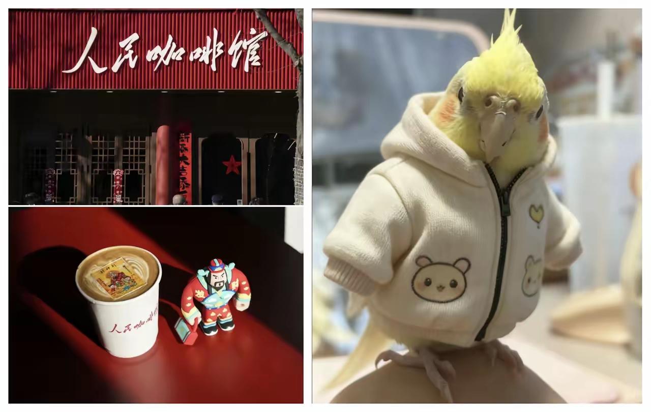 人民咖啡馆能不能用人民这名字？
人民这个名字从人民共和国成立的时候开始了，属于政