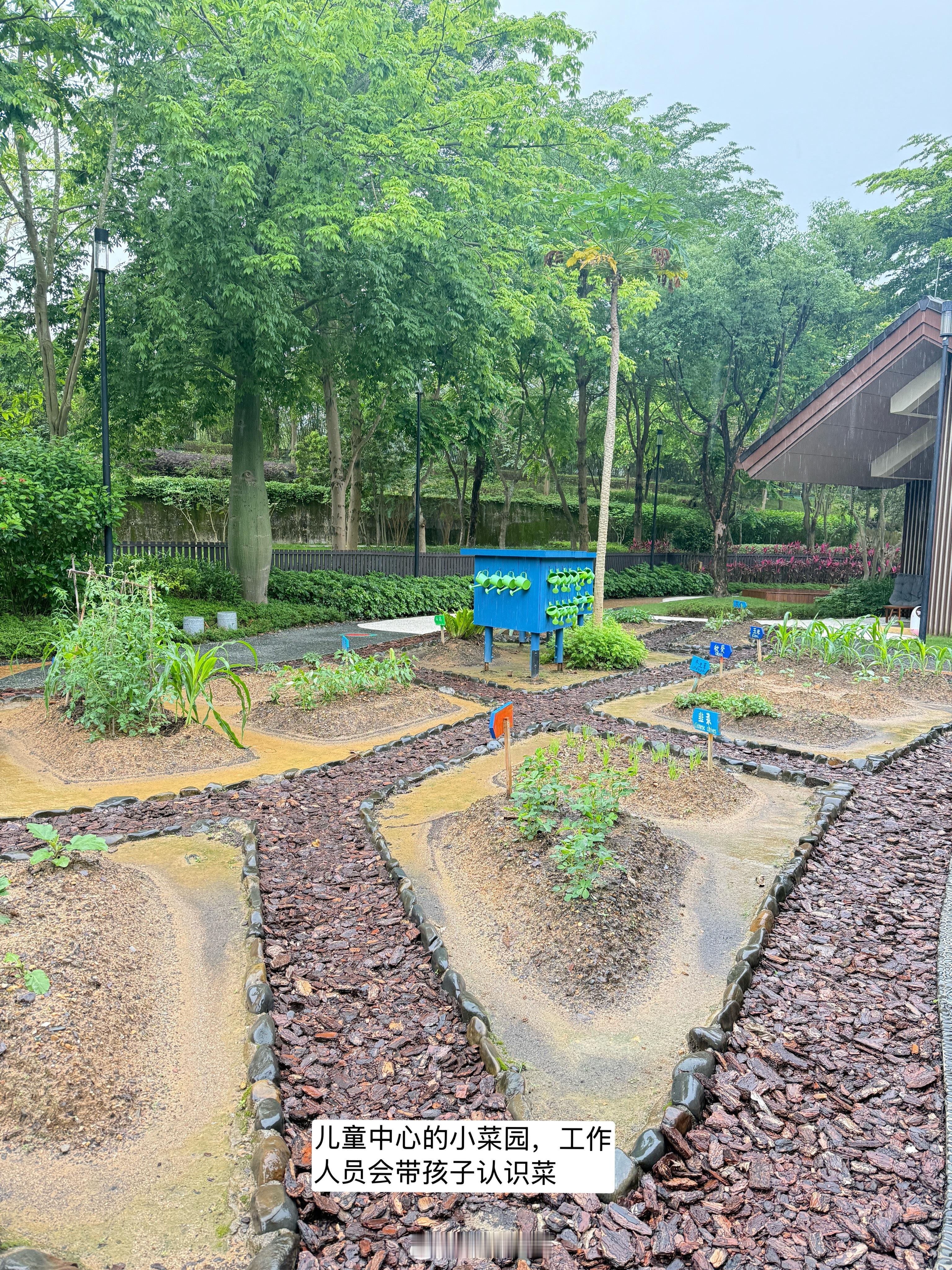 阴差阳错，住到了在国内最喜欢的度假酒店📌清远新世界酒店定的时候我搜索广州亲子酒