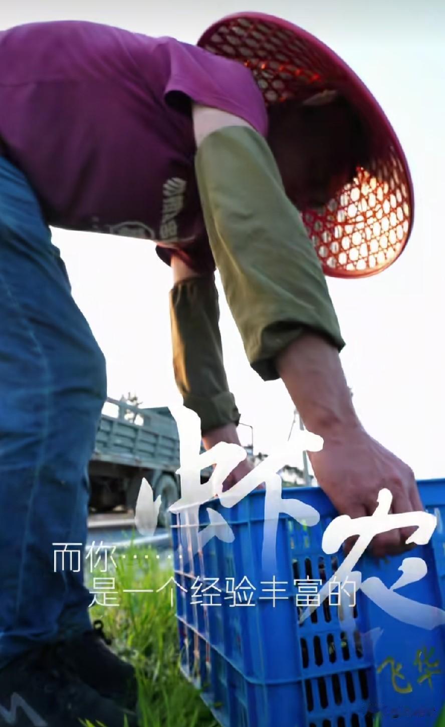 与辉同行阅山河走过的城市，有的已经多次合作了，有故乡陕西、老表广西，好客山东，热