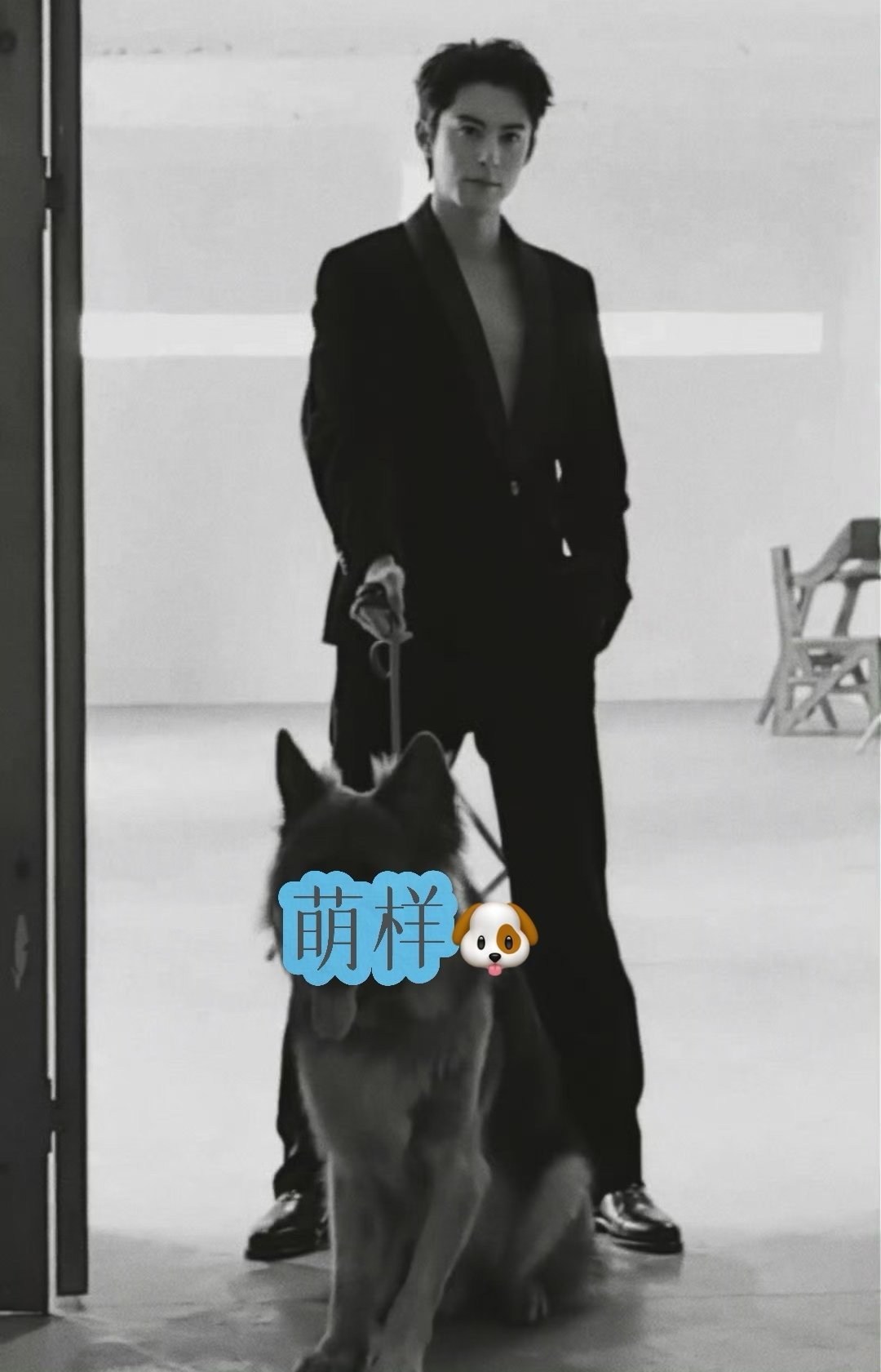 收图，特别形象啊💯💯💯 