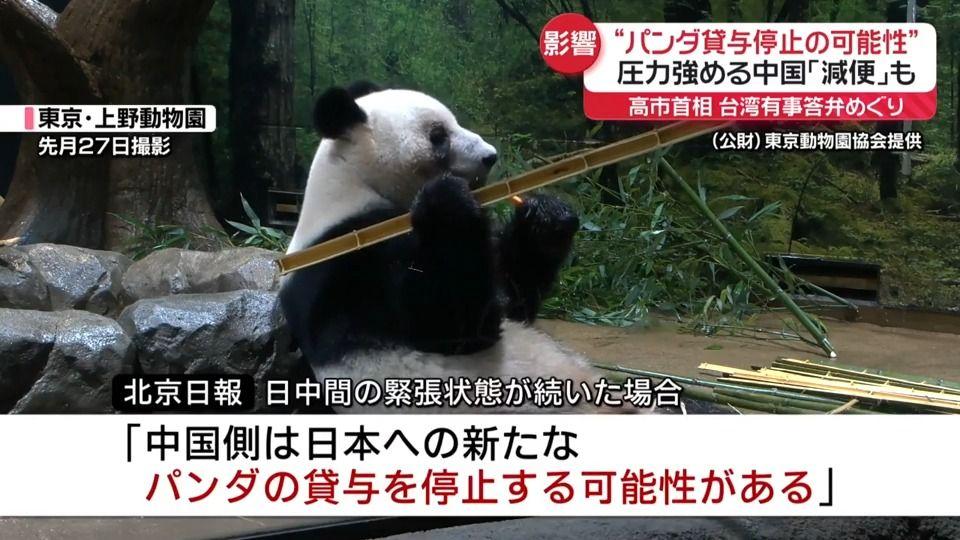 日本民众担心大熊猫从此消失！
我国租借给上野动物园的大熊猫“晓晓”和“蕾蕾”预计