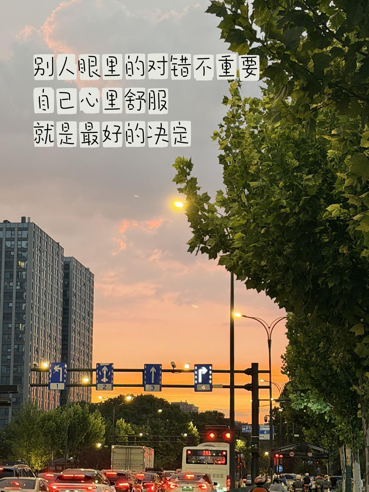 我唱的不够动人你别皱眉 晚霞 日落 被城市暮色治愈了 杭州