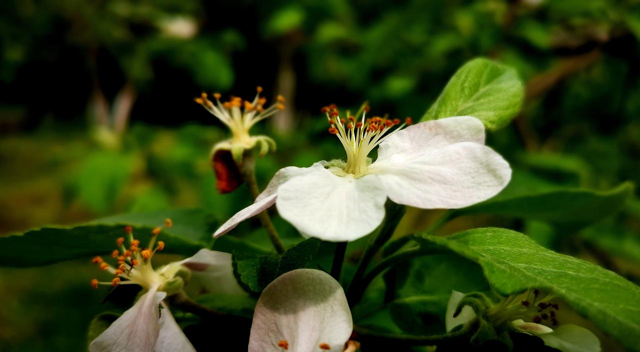 警方辟谣“人造大米生产线”相信这个谣言的估计脑子都进水了，现在大米平均2元左右一