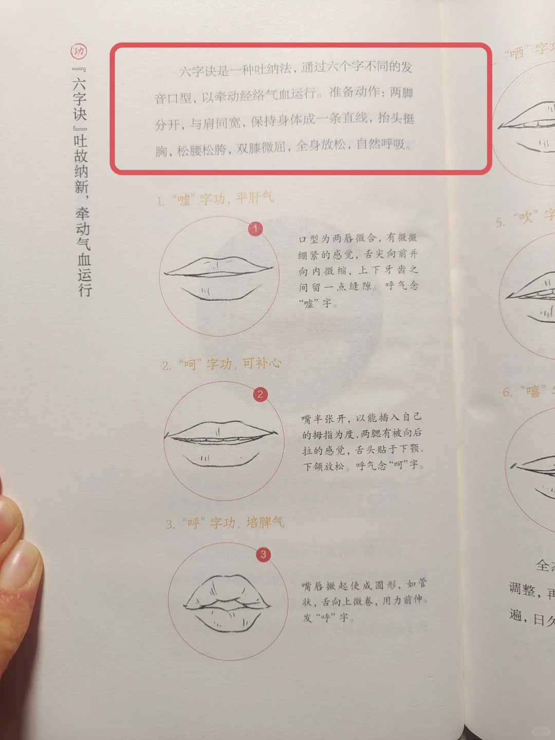 学会吐纳呼吸，牵动气血运行，不得不服🔥