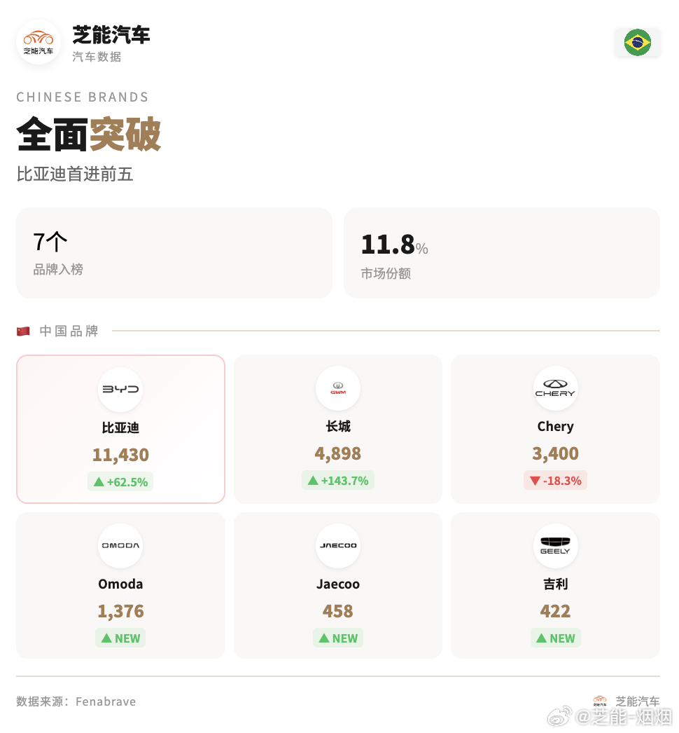 2026 年 2月，巴西车市整体稳中有增，依旧是菲亚特、大众这些传统品牌占主导，