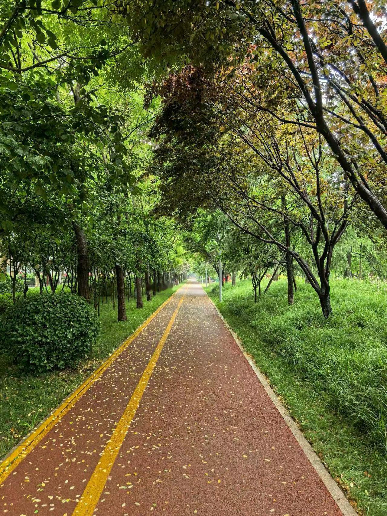 姐姐说，村里的土地，她也有份，但因为她有工作，就没有提过。
姐姐的发小，嫁到了同