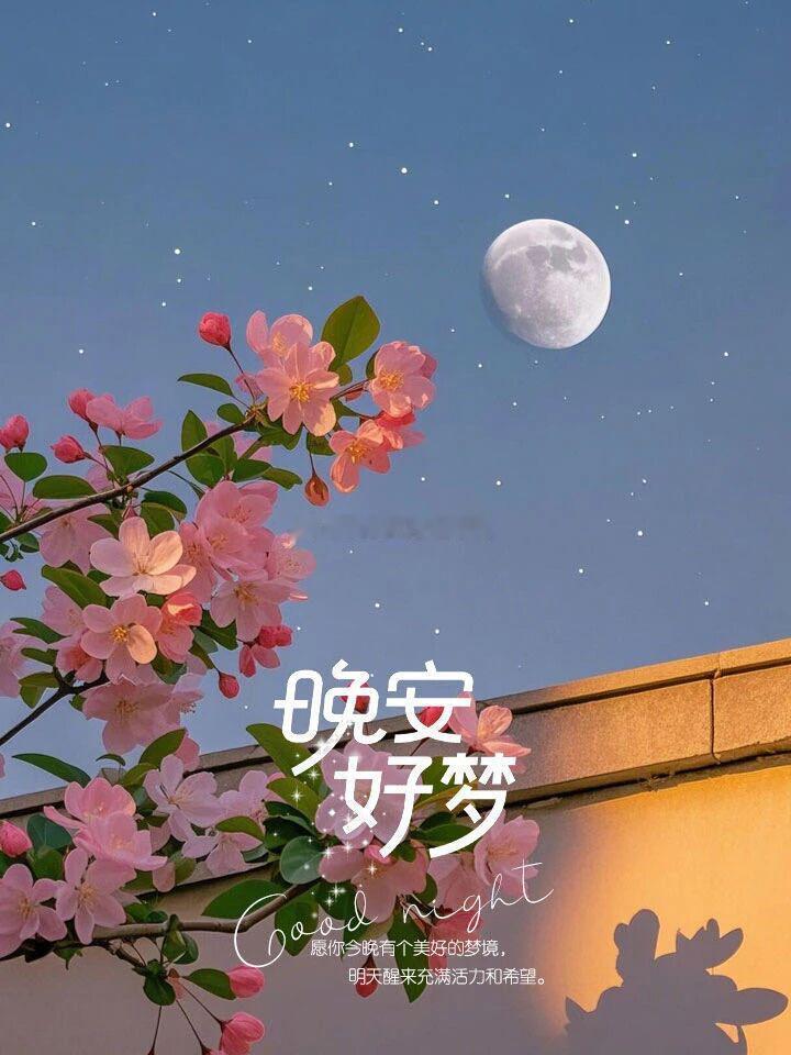 生活的真谛，从来不是活在比较里，胜过谁。而是健康地活着，自在地笑着，把日子调成自