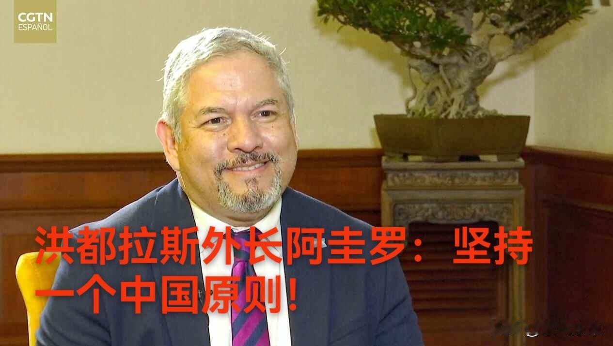 台湾当局称正在与洪都拉斯洽谈推进“复交”接触！

结果被洪都拉斯外交部“打脸”，