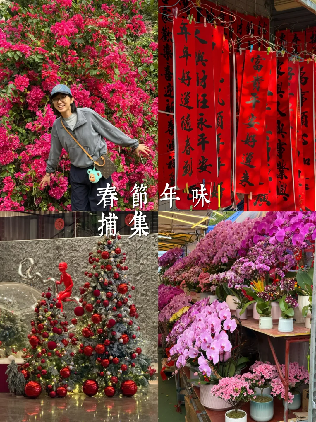 🇨🇳春节PLOG｜在各地搜集到的年味合集🧧