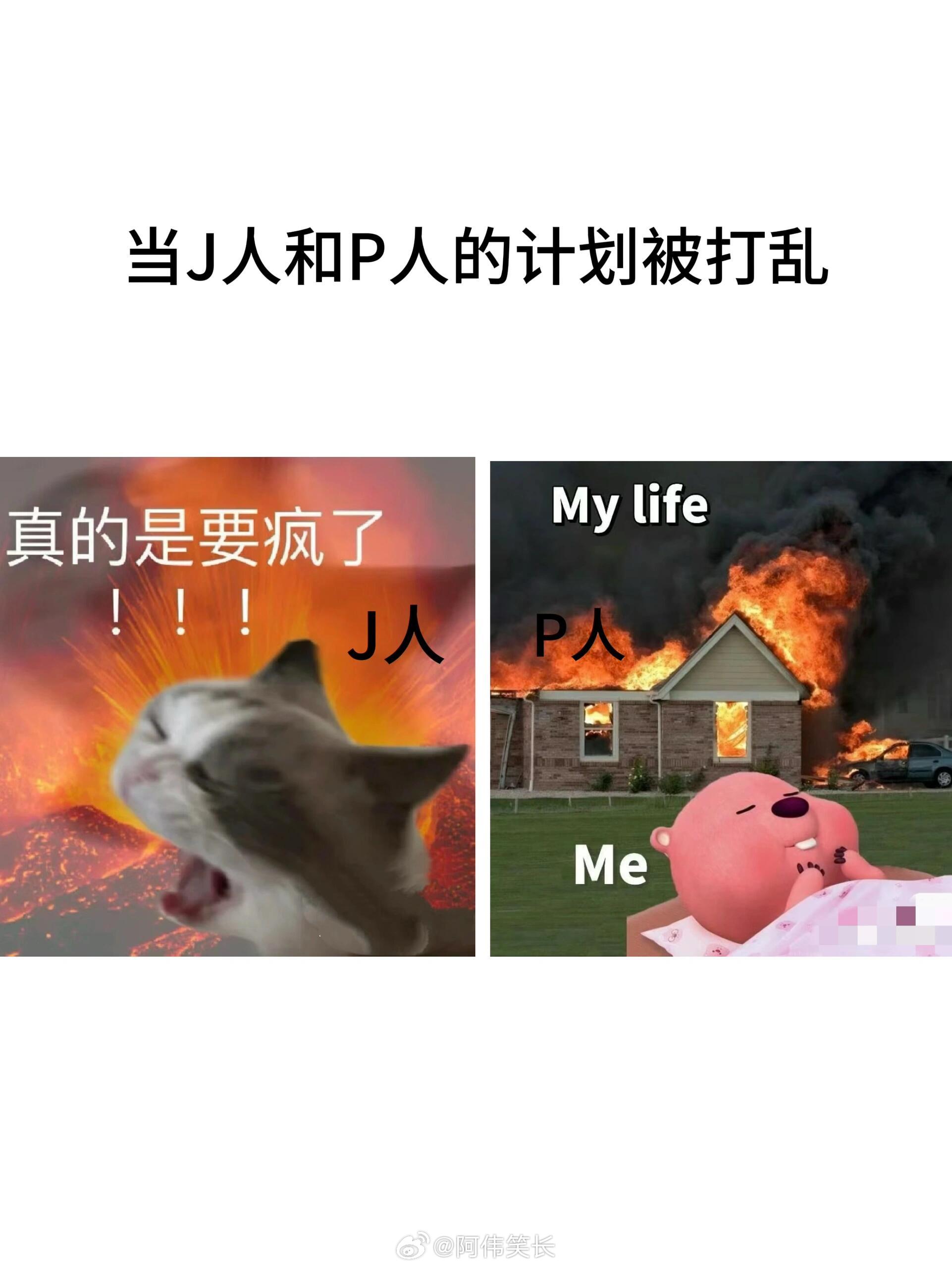 j人和p人的真实区别belike 