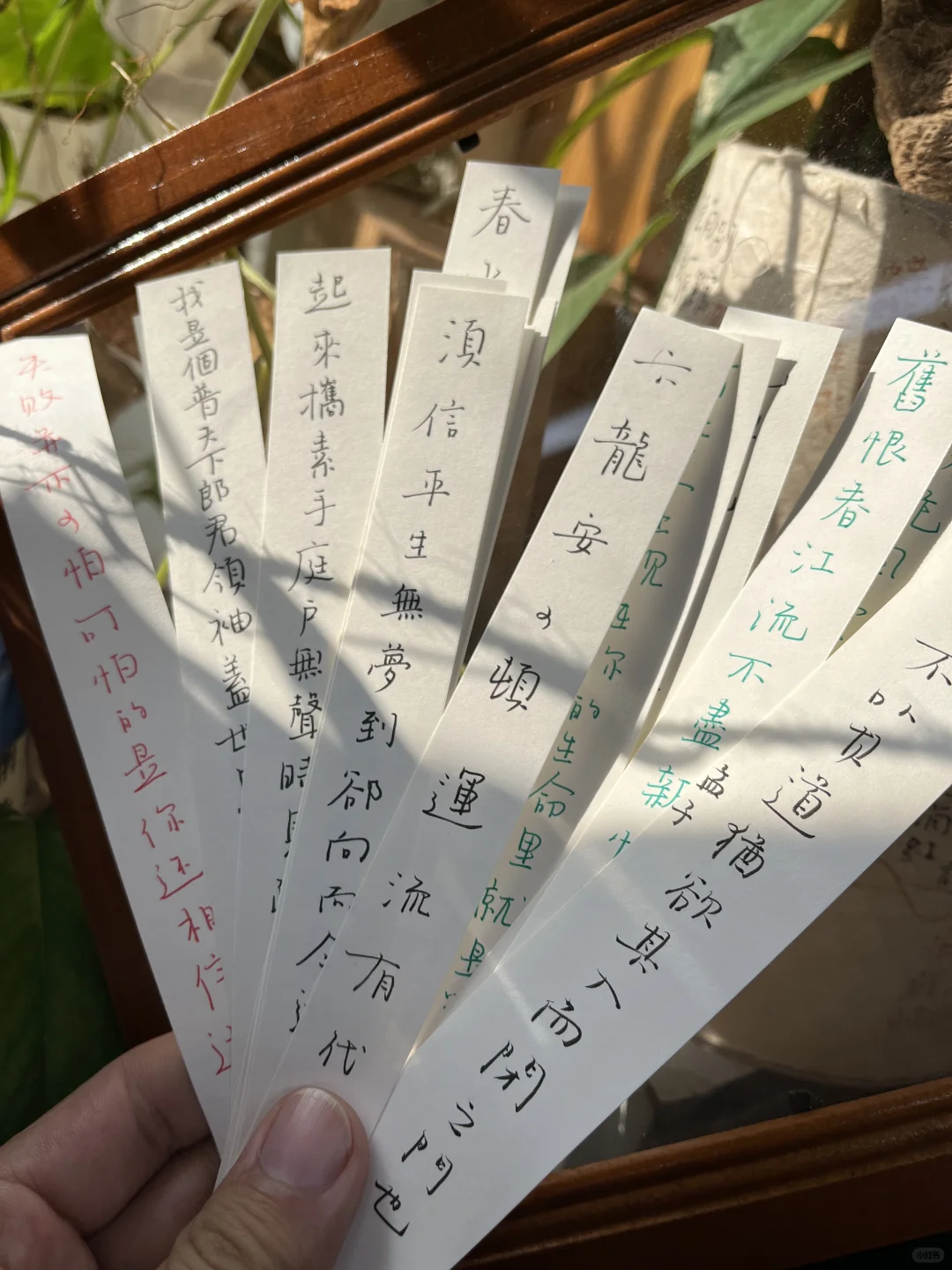你相信光吗