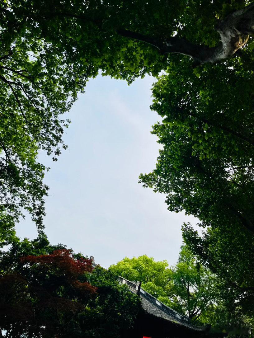 前天在西湖边又一场活动做完，每年春天有这个由头来一次杭，开心我常觉得西湖的好在于