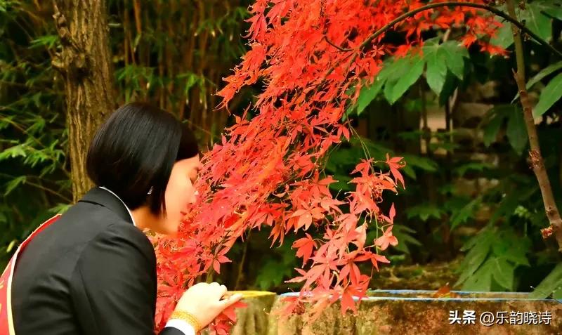 雁声拖影夕阳中。看到“枫叶醉红秋色里”这个上联，瞬间就被带入了那如诗如画的秋景中
