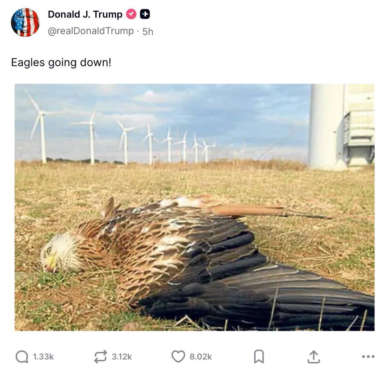 西方世界价值观标准是同情没有任何威胁他的动物，杀戮制裁打击任何妨碍他利益的同类。