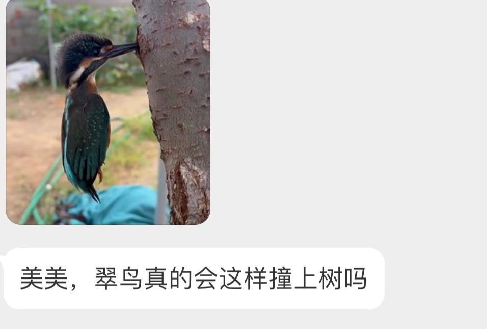 可恶的摆拍。 ​​​