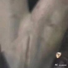《国色芳华》路透：杨紫唐风造型雍容华贵，李现被网友吐槽腰粗 ​​​