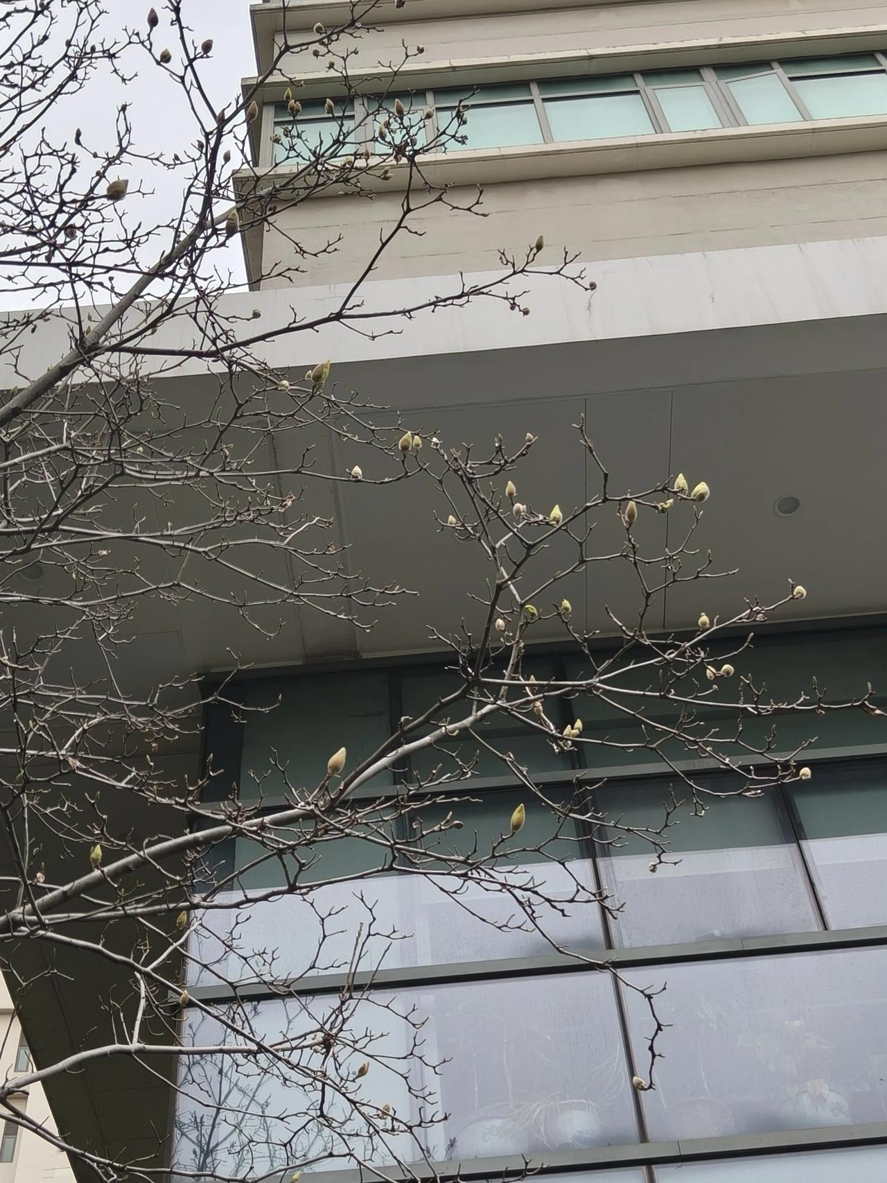 今日份随手拍实景图分享！

早上下雨🌧️这会儿大晴天🌞