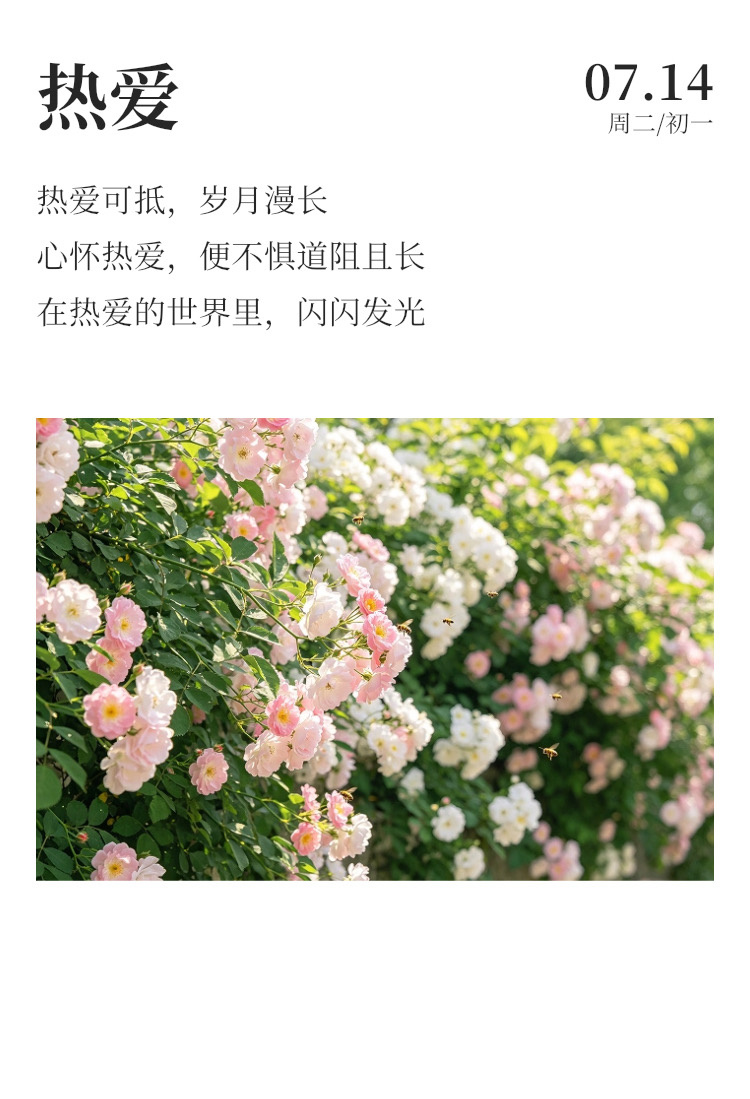 早安  ☀️每日早起打卡 你走的每一条弯路，其实都是必经之路，你永远无法借别人的