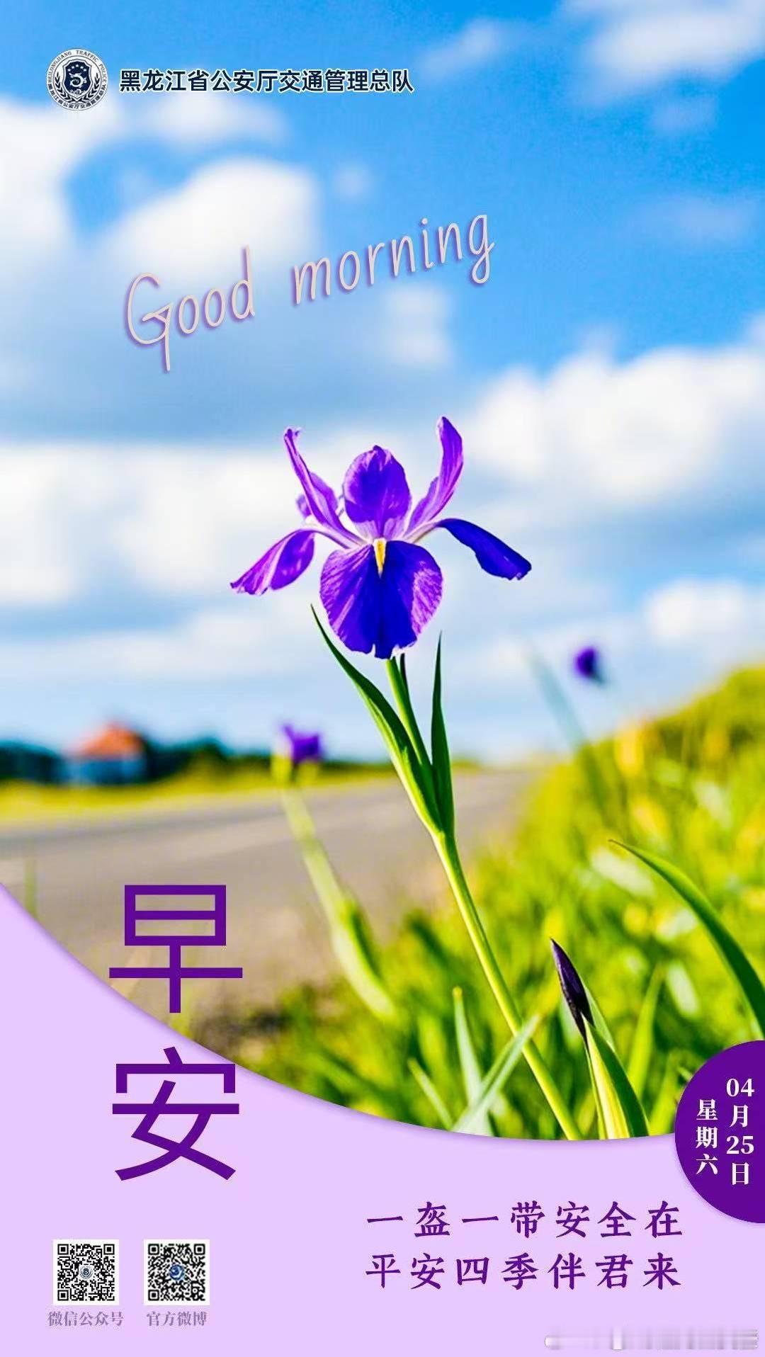 早安 一盔一带安全在，平安四季伴君来。早安早安心语早安高小黑早安龙江 （