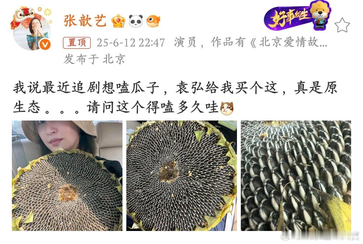 袁弘给张歆艺买整颗向日葵嗑瓜子追剧 袁弘：“老婆追剧要嗑瓜子？安排最大的！” 于