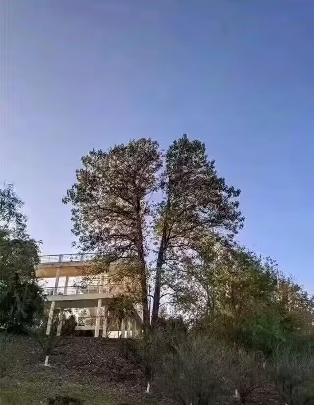 汤姆！