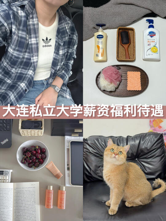 东软信息学院 vs 大连科技学院 vs 大连软件