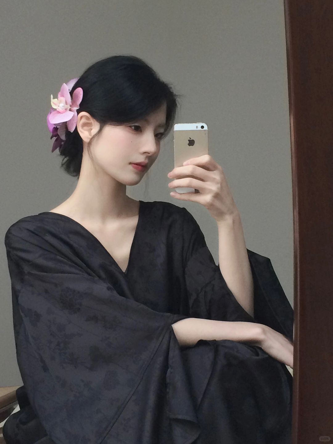 蝴蝶兰