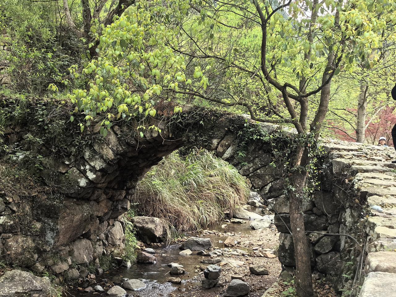 【热评】这种行为的伤害是多重的
蓄电池工厂要求员工体检前吃排铅药

蓄电池工厂强