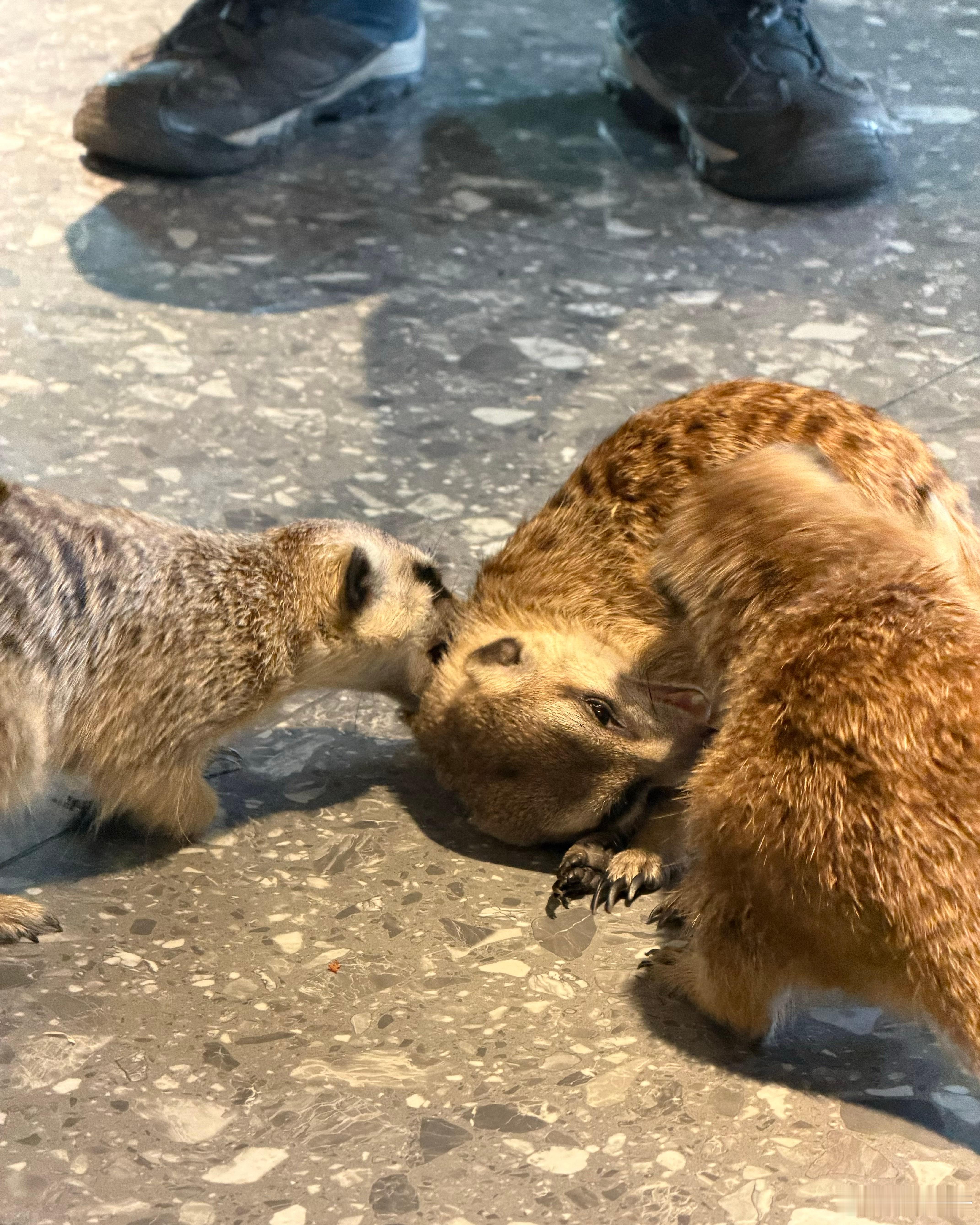 陈嫣冉的私服简直长在我的审美点上！不管是简约日常风还是个性潮流范，她都能轻松驾驭