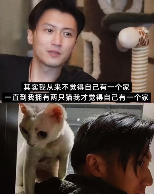 谁懂啊！看完谢霆锋这段采访，我直接被戳中了心巴，原来顶级浪子的极致偏爱，从来都不