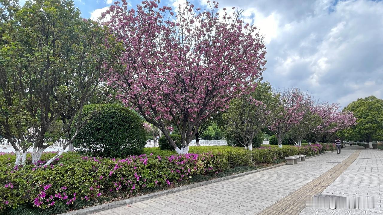 在曲靖北站，也就是沾益区，高铁站附近三室二厅一厨二卫140平，每月800，楼下公